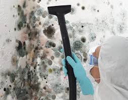 Mold Documentation for Insurance Claims in Chilton, WI